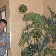 , 39 , 