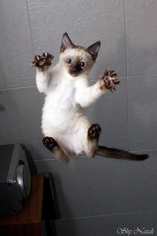  -  - 25  2017  14:29