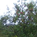 ���� �������, ��������, 71 ��� - ��������� 27 �������� 2016 � ������ ���������� ����� 2016 �� ������ �����-�������� �������.�