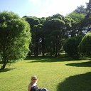 ���� ������, ����� - ��������� 4 ������� 2016 � ������ ���� ����������