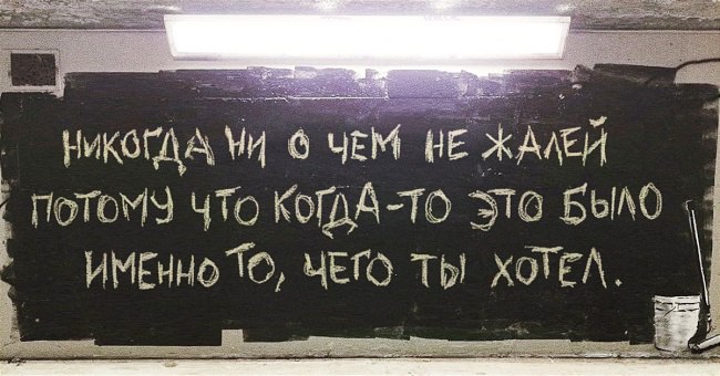    - 11  2017  19:36