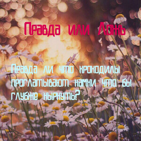4- .-Daya