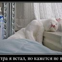���� ���, ����-��� - ��������� 28 �������� 2016 � ������ ���� ����������