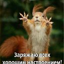 ���� �����, �������������-����������, 46 ��� - ��������� 13 ����� 2017 � ������ ���� ����������