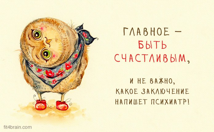   (  ) - 16  2017  18:08