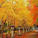 ���� ����, ������, 58 ��� - ��������� 9 ������� 2016 � ������ �������