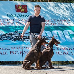 ����, ������, 39 ���