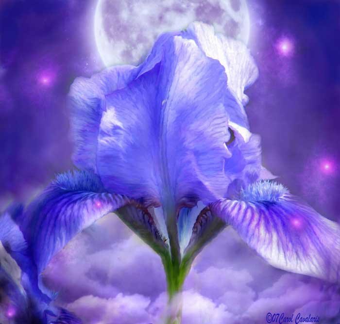 ))).    Carol Cavalaris,   .   - ... - 2