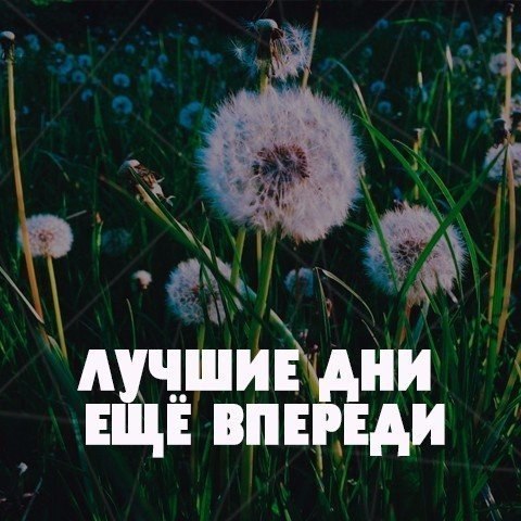 LIFE -  - 4  2017  15:47