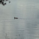 ���� �������, �������� - ��������� 13 �������� 2016 � ������ ���� ����������