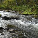 ���� ��������, �������, 65 ��� - ��������� 13 �������� 2016 � ������ ���� ����������