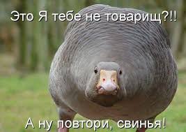   - 27  2016  12:03