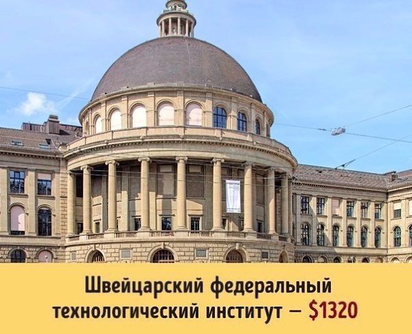 Сколько стоит образование в разных университетах мира - 6