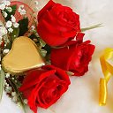 ���� Anina, ���� - ��������� 25 ������� 2016 � ������ ���� ����������