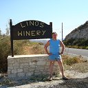  , , 67  -  20  2016   -2016, 