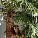 ���� �����, ������ - ��������� 16 ������� 2017 � ������ ��������