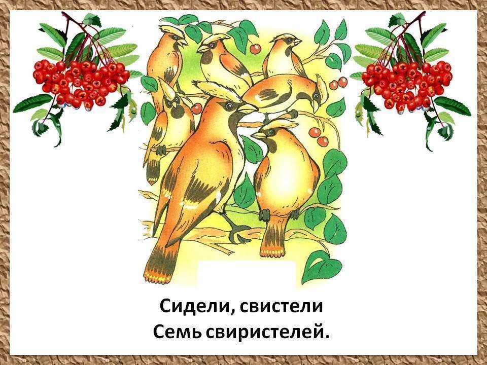    - 6