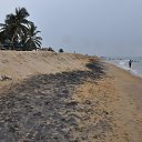 ���� ����, ������������, 59 ��� - ��������� 15 ����� 2017 � ������ ���� ����� 2017�