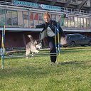 ���� �������, �����, 35 ��� - ��������� 29 ������� 2016 � ������ ���� ����������