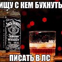 ���� ����, �����-���������, 51 ��� - ��������� 3 ����� 2017 � ������ ���� ����������