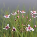 ���� ���������, ����������, 77 ��� - ��������� 14 ����� 2017 � ������ ���� ����������