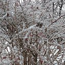 ���� ������, ������, 54 ���� - ��������� 14 ������ 2016 � ������ �������� ������