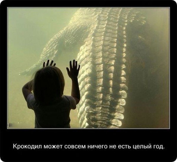    - 15