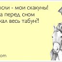���� �����, ��������� - ��������� 4 ������ 2017 � ������ ������ ��������