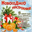 ���� ����, ������������ - ��������� 31 ������� 2016 � ������ ������ ��������