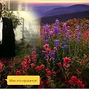 ���� ���������, ��, 64 ���� - ��������� 9 ������� 2017 � ������ ��� ���� ��������