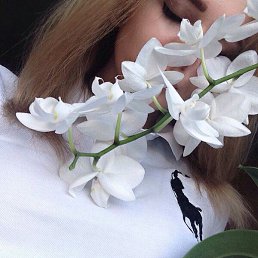 ����, �����-���������, 23 ����