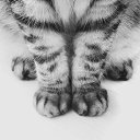 ���� Sir, ������, 39 ��� - ��������� 31 ������� 2016 � ������ ���� ����������