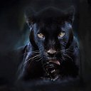 ���� �����, �����-��������� - ��������� 17 ������ 2016 � ������ ���� ����������
