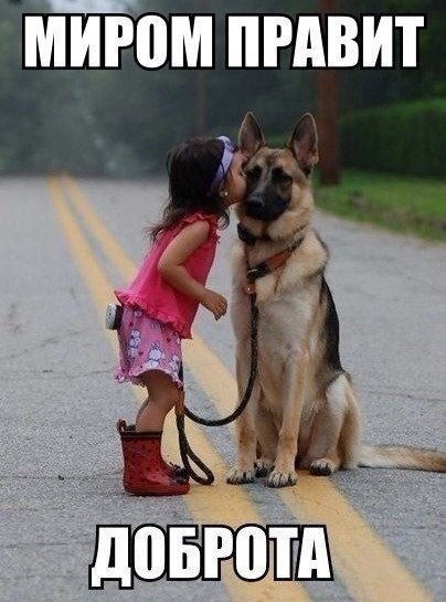   , ,    ...   ... ...