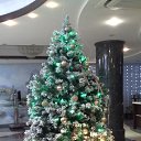 ���� ������, ������ - ��������� 24 ������� 2016 � ������ ���� ����������