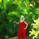 ������� 2016 �� ������� ���� ����������