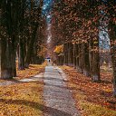 ������� ���� � ��������� ����� ����� ������,�������� ���������� ������ �����,��� ������� ������ ���������,��������� � ����� �������� �����. �� ������� ���� ����������