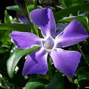 ���� ���, ������� ��������, 43 ���� - ��������� 11 ������ 2017 � ������ ���� ����������