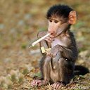 ���� Auriks, ����, 51 ��� - ��������� 24 ������� 2016 � ������ ���� ����������