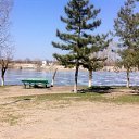 ���� ������, ��������������, 43 ���� - ��������� 5 ������ 2017 � ������ ���� ����������