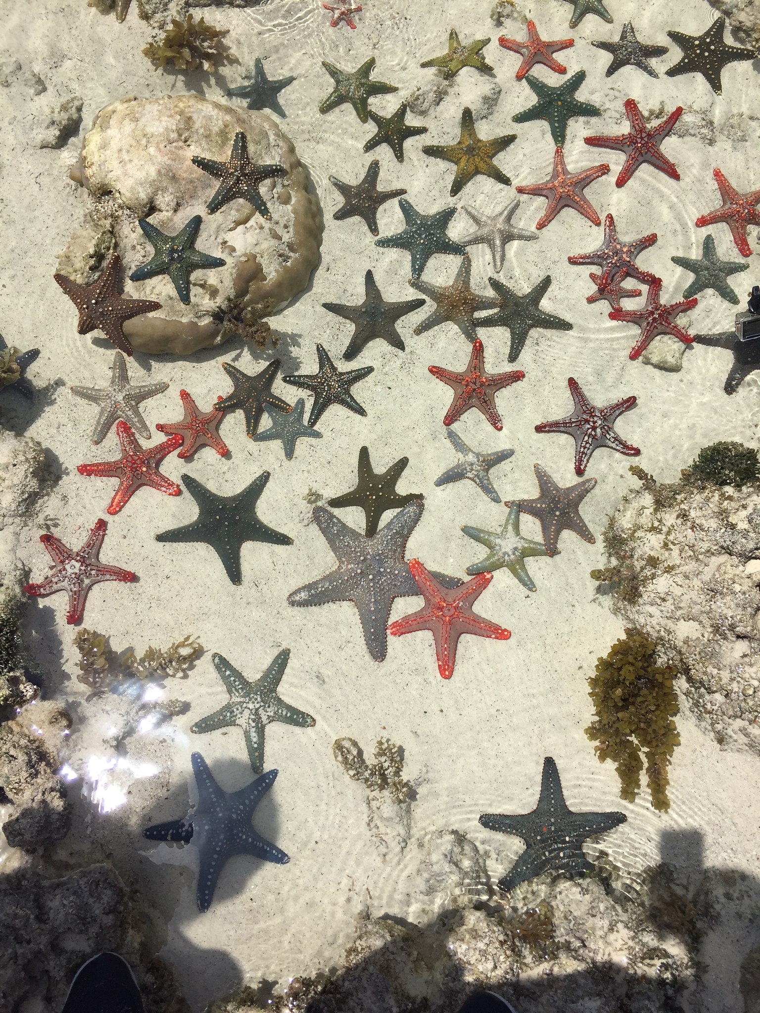 Vincent - 8  2017  23:40