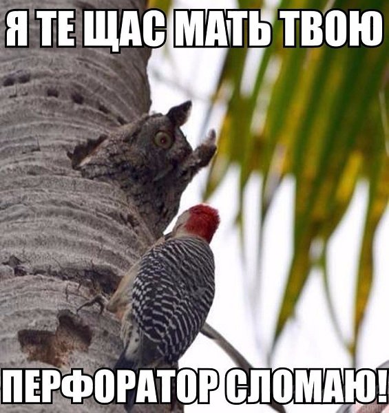  - 18  2017  15:09