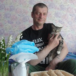 �������, �����, 62 ����