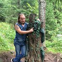 ���� ���������, �����������, 39 ��� - ��������� 24 ����� 2017