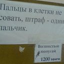 ���� �����, ������ - ��������� 31 ������� 2016 � ������ ���� ����������