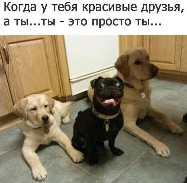    :D - 10  2017  21:34
