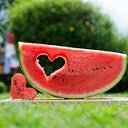 ���� ������, ��������, 49 ��� - ��������� 19 ������� 2017 � ������ ���� ����������