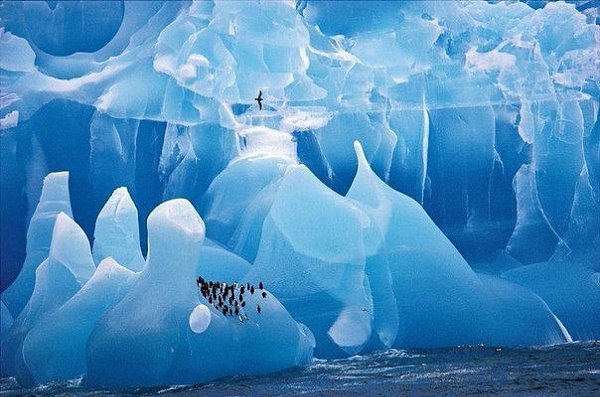 10 фотографий без фотошопа, где реальность граничит с иллюзией - 9