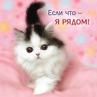 К чему копить ненужные обиды? Им не давать исчезнуть без следа? Их помнить не показывая вида, И даже ...
