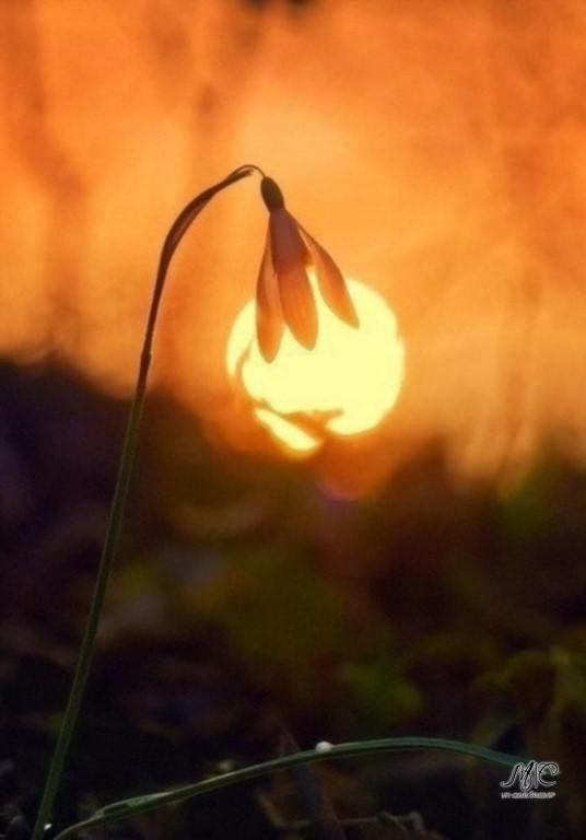 ������ ���������� ����: ������ �����, ������� ������, ���� ���� ����� � �� ��������!.. � ������� ... - 3